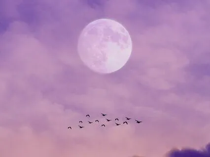 Scorpio Full Moon Meditation April 2024