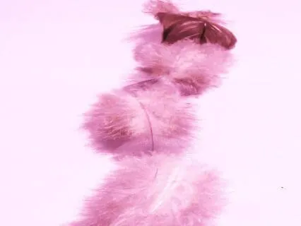 Scorpio Lightbody Ritual | The Alchemy Of Softness