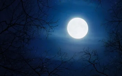 Scorpio Lunar Eclipse Full Moon Meditation - May 2022