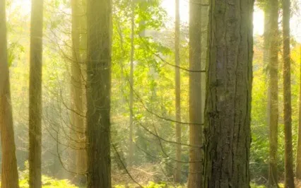 Scorpio New Moon & Lunar Eclipse