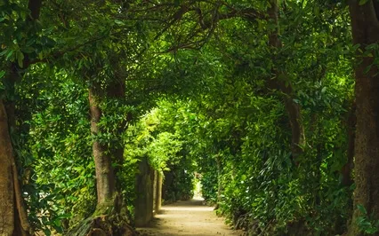 Scorpio New Moon: Goddess Juno