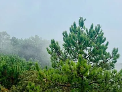 Scorpio New Moon Meditation - November 2024