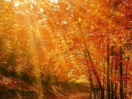 Scorpio New Moon: Shakti Activation