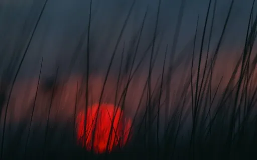 Scorpio Season And Integrating Our Shadows