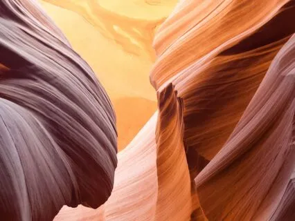 Scorpion Wisdom: Transformation, Boundaries & Truth