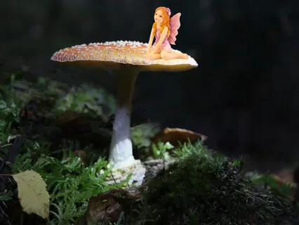 Scotland’s Fairies | Isla & The Scrolls - Story 1 (Sleep Story)