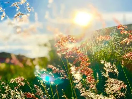 Scottish Beltane Meditation