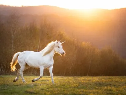 Scottish Folk Tales And Legends-The Princess & The Unicorn