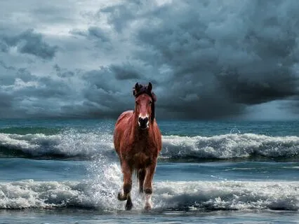 Scottish Folk Tales & Legends- Eilidh & The Kelpie