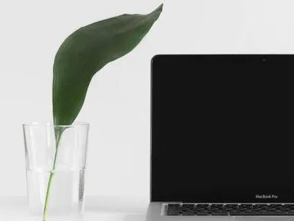 Screentime Detox Meditation