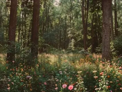 Scripture Meditation For Surrendering Anxiety To God