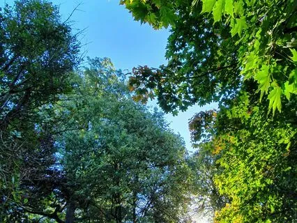 Scrumptious And Slow Nidra To Enfold And Soothe