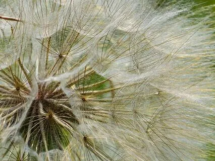 Sculpting A Kinder World From Your Struggles