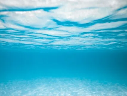 S.E.A. Gratitude Meditation