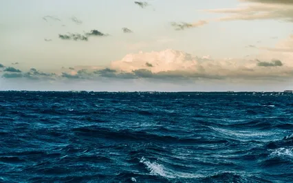 Sea Of Positive Emotions