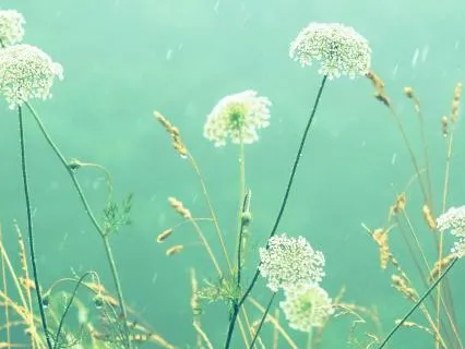 Search For The Light – Mindfulness Meditation