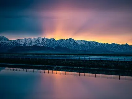 Searching For The Light