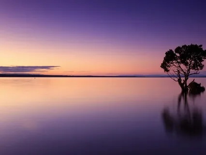 Season 2, Ep 2 "You Are The Answer, The Answer Is You"