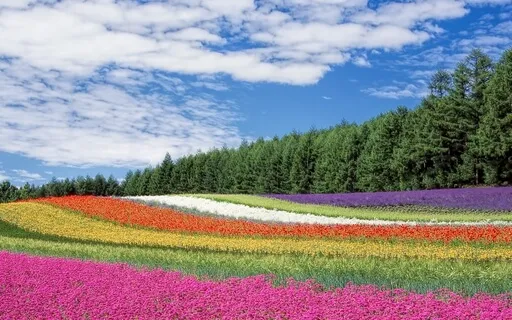 Season 2, Ep 5 "Renewing The Mind"