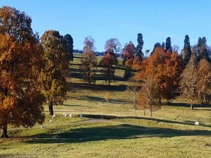 Season Change Meditation