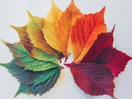 Seasonal Bedtime Story Collection