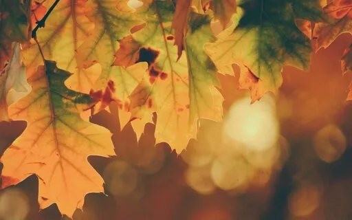 Seasonal Changes - Calming & Centering Meditation 