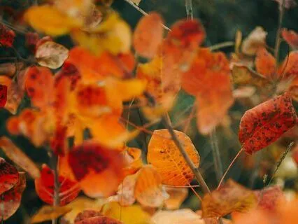 Seasons And Cycles  | Nostalgic Positive Vibes W/ LoFi Beats