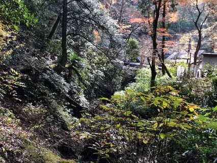 Seasons Of Change Meditation