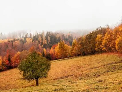 Seasons- Welcoming In The Seasons