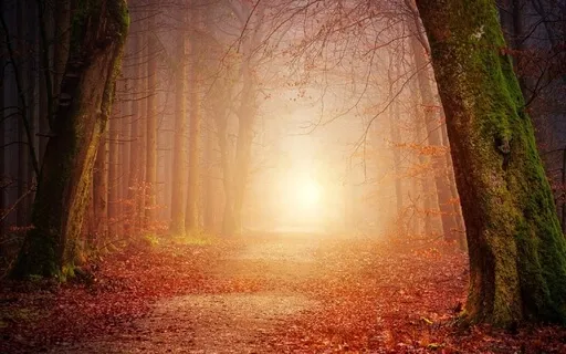 Seasons Within The Breath