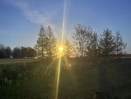 Seat Of The Observer: Cultivating Mindful Awareness