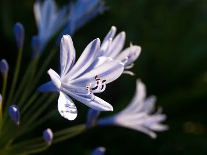 Seat Of The Soul: Journey Through the Chakras