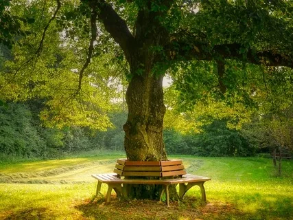 Seated Grounding For Empaths & Highly Sensitive Beings