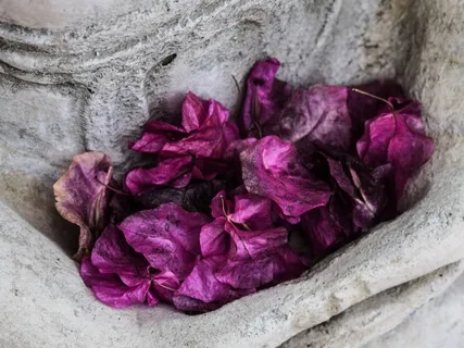 Seated Mediation: Watch Your Breath, Find The Stillness