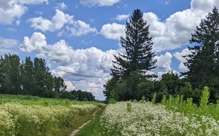 Seated Meditation For Anxiety