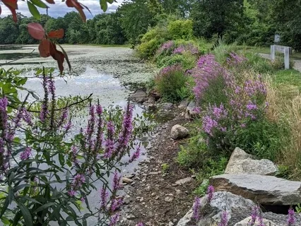 Seated Meditation For Energy