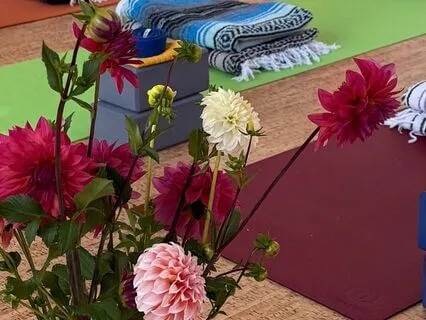 Seated Movement/Meditation Break