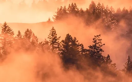 Secret Brain Healing Frequency - 384Hz Deep Healing Music