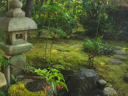 Secret Healing Garden