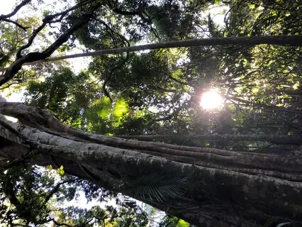 Secret Kindness Practice