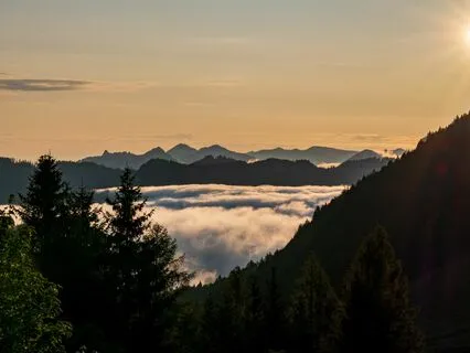 Secret Pineal Gland Frequency: Insight Meditation (8D)