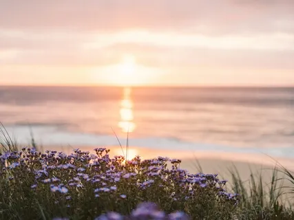 Secret Sands - Ambient Music to Bring Inner Peace & Harmony