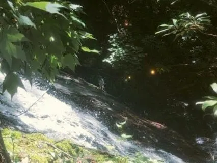 Secret Waterfall: 12 min. Soundbath for Deep Clearing