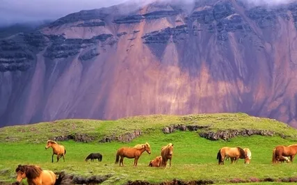 Secret World (Extended Version)