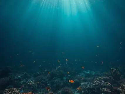 Secrets From The Deep