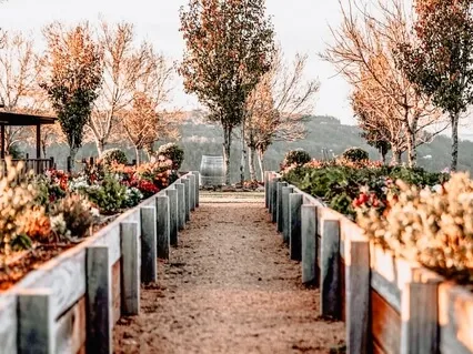 Secrets Of Meditation - Clarity In The Intellect Succeeds