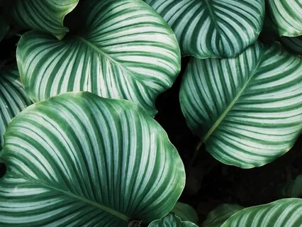 Secrets Of Meditation Four Connections In Mind