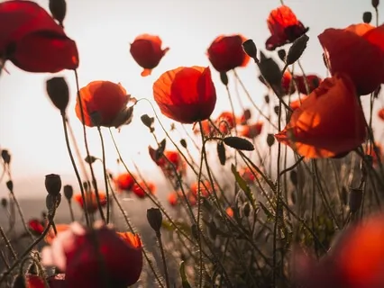 Secrets Of Meditation- Real Self Within Is Supreme Self