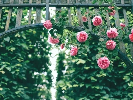 Secrets Of Meditation - Understanding Focus Of Mind