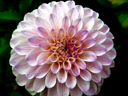 Secrets Of New Beginnings